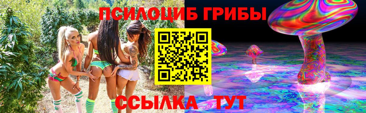 Галлюциногенные грибы Psilocybe Тольятти